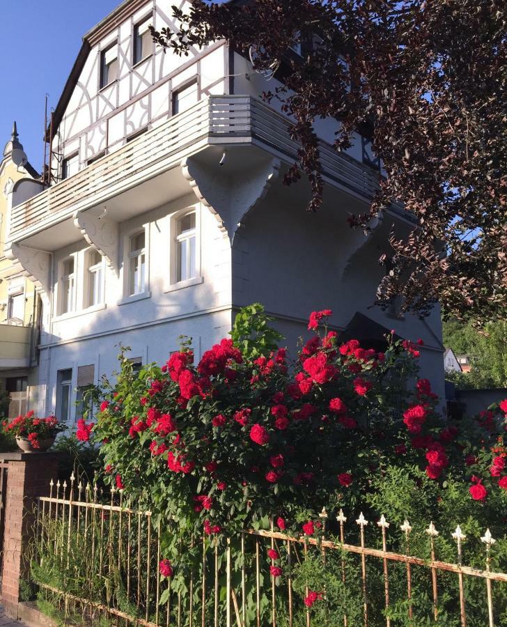 Villarheinblick Kamp-Bornhofen Dış mekan fotoğraf